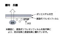 画像3: はかせる「ミモザ」【よつばのおむつ/日本製/ハンドメイド】 布おむつカバー （透湿性防水布使用）春,フラワー,花柄